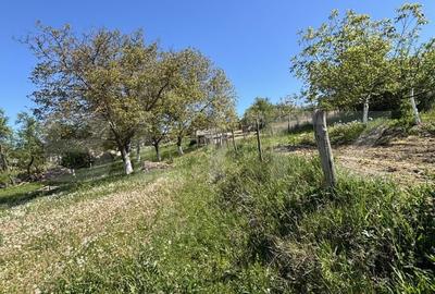 Teren de 1600 mp, în Var - 1