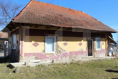 Casă cu 2 camere în Telechia - 1