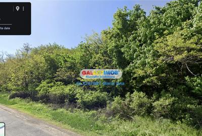 Teren Padure 6.500 mp., la strada, zona Cucorani! - 3