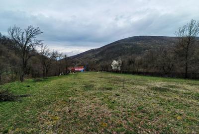 Casă cu 4 camere în Boiu - 6