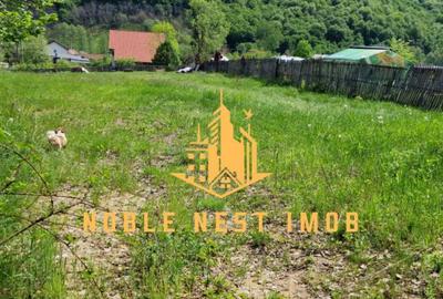 Teren extravilan 2200 mp - Budeasa Mica, Arge?, COMISIO... - 2