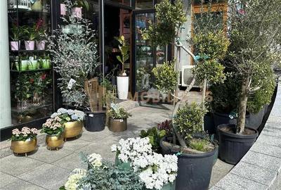 Afacere la cheie - Florarie cu traditie, pozitionata central Afacere la cheie - Florarie cu traditie, pozitionata central - 1