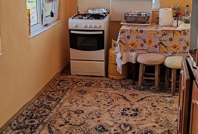 Dolj, Galicea Mare - 9