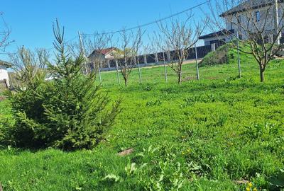Casă cu 3 camere cu Teren 916 Mp în Central - 5