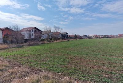Oportunitate Saftica - Balotesti - Green Land Residence – Lot 653 mp - 5