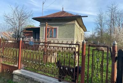 Teren intravilan de 5973 mp, în Plaiu (Provița de Sus) - 4