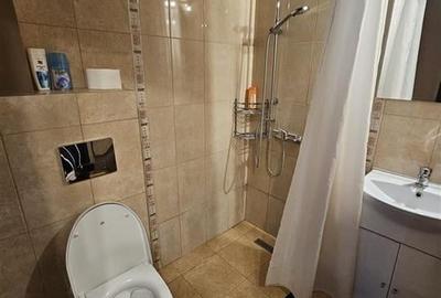 Casa 2 apartamente si curte privata , AFI Mall Brasov - 8