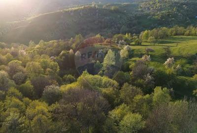 Teren de 15459 mp, în Bughea de Sus - 12