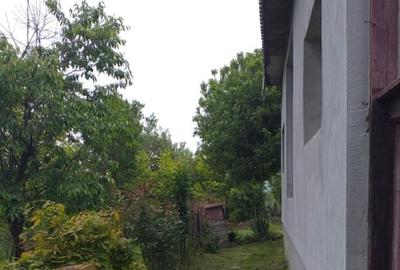 Ocoliș Casa P+1E, situata la 15 min. față de Baia Mare - 14
