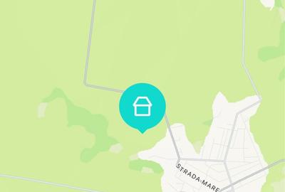 Teren de 100000 mp, în Cogealac - 1