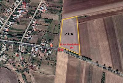 Teren de 20000 mp, în Topolog - 1
