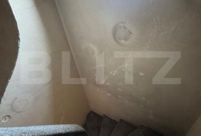 Casa rezidentiala de vanzare, cu 6 camere, 110 mp, zona Parcul Carol - 17