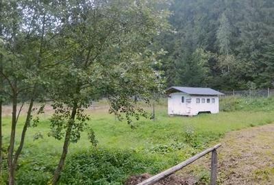 Teren de 1500 mp, în Mitocu Dragomirnei - 6