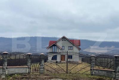 Casă cu 5 camere cu Teren 2900 Mp în Central - 3