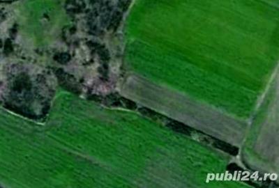 Teren de 15000 mp, în Folea