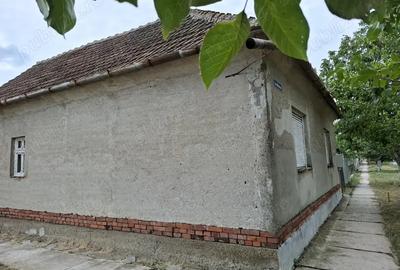 Vand casa in zona linistita - 2
