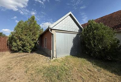 Casa cu teren 8000 mp. - Cetariu - IMOBIHOR - 12