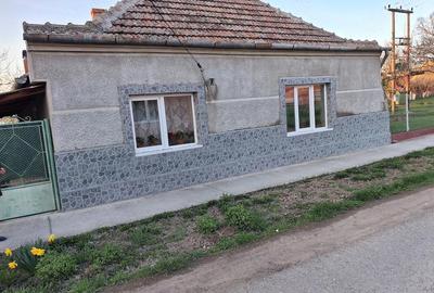 Casă cu Teren 2500 Mp în Otelec - 10