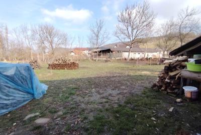 Casă cu 3 camere în Șimișna - 2