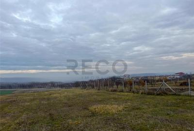 Teren de 720 mp, în Paleu - 3