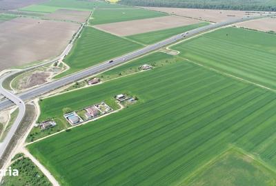 Teren de 40578 mp, în Ciorogârla - 5
