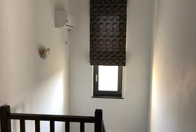 Inchiriez Vila Valea Lupului - 3