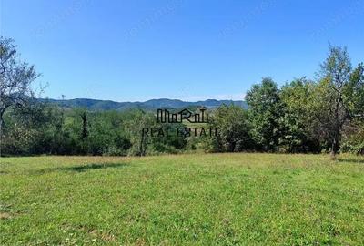 Teren de 8757 mp, în Luncoiu de Sus - 10