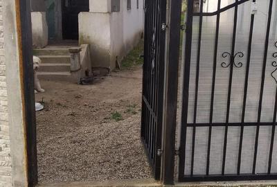 Casă cu Teren 600 Mp în Măceșu de Jos - 2