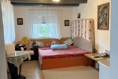 Casă cu 2 camere în Cornu - 7