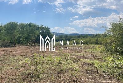 Oportunitate de Investiție Strategică | Teren Intravilan | Colonia Becas Oportunitate de Investiție Strategică | Teren Intravilan | Colonia Becas - 6