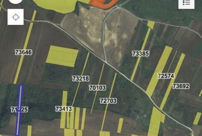 Teren de 11900 mp, în Exterior Vest - 12