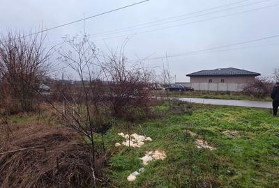 Teren 5000 mp 1 decembrie - strada Oituz - 6