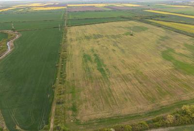 Teren agricol extravilan de 44700 mp, în Exterior Vest - 4