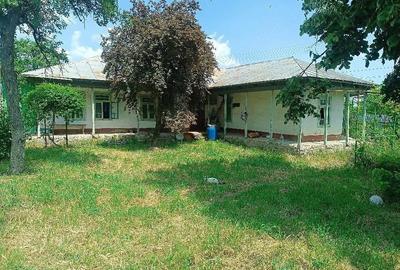 Casă cu 4 camere cu Teren 1490 Mp în Tămăoani - 5