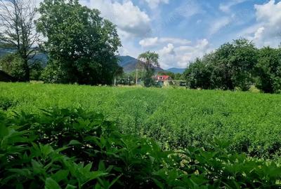 Teren 2743 mp, 2 fronturi, asfalt Vii?oara, Neam? - 4