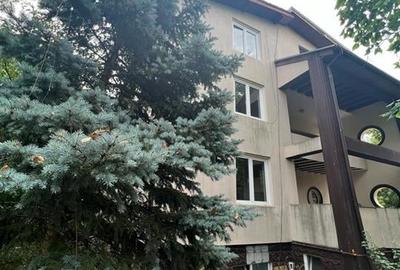 Vila individuala / S+P+1E+M /Iancu Nicolae-Zoo / necesita renovare - 3