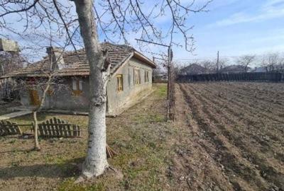 Casă cu 3 camere în Gruiu - 3