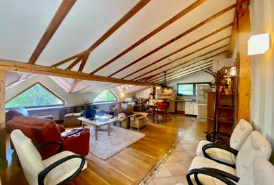 Vila de lux lângă Curtea Domnească – investiție premium Târgoviște, teren 1.700 - 54