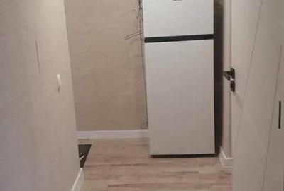 Apartament 2 camere pet friendly Nerva Traian - 2