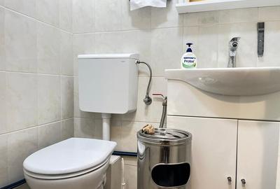 Spatiu comercial zona Lipovei - 7