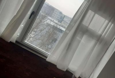 Garsoniera confort 1 la strada Calea Nationala-zona Electro Alfa - 8