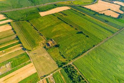 Teren de 10.000 mp situat în Bujac, Arad - 2