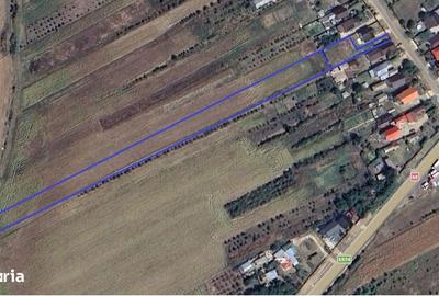 Teren de 6767 mp, în Albota - 2