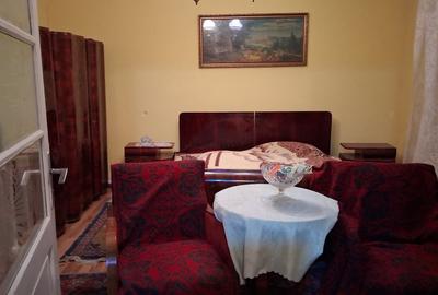 Proprietar vând casă cu grădină două apartamente, Mehala  suprafată totală 739 m - 6