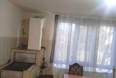 Casă cu 4 camere în Cernișoara - 5