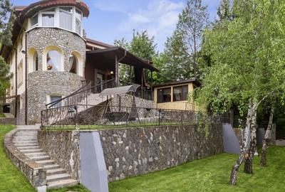 Refugiu de Vis in Cornu – Priveliste Panoramica si Apusuri Memorabile - 68