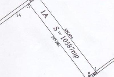 Teren de 10587 mp, în Clinceni - 1