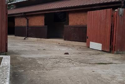 Casă cu 5 camere cu Teren 120 Mp în Central - 4