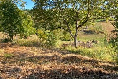 Casa + teren Certeju de Jos, Comuna Vorta ( Hunedoara) - 4