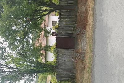 Casă cu 5 camere cu Teren 3200 Mp în Stângăceaua - 4